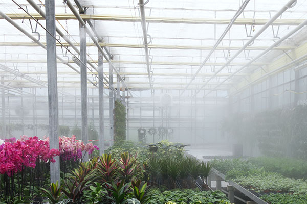 مزایای استفاده از مه پاش گلخانه ای
